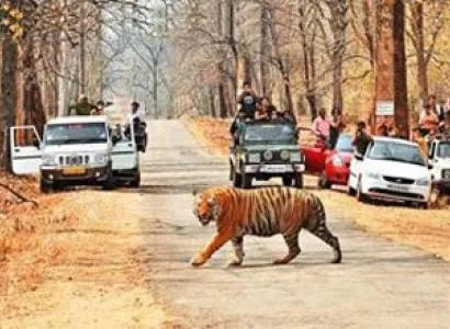 Kolkata to Kanha National Park Tour Package