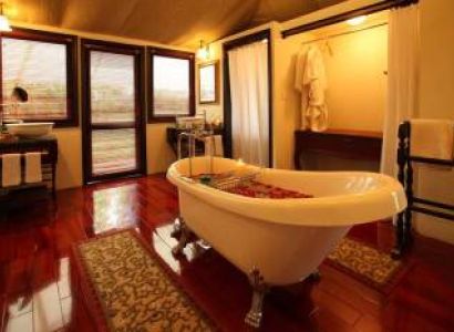 Kanha Jangale Safari Park Tour Package