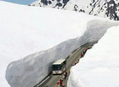 MANALI VOLVO PACKAGE