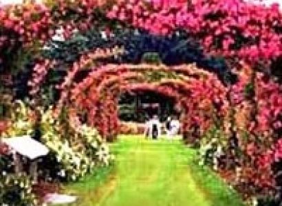 delhi chandigarh shimla manali chandigarh