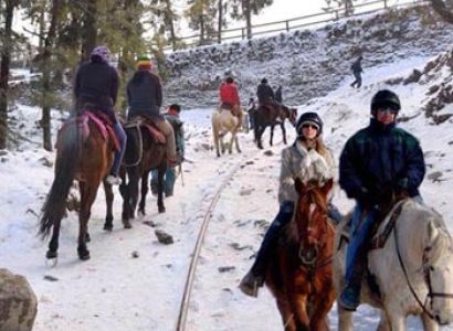 Romentic Shimla Package