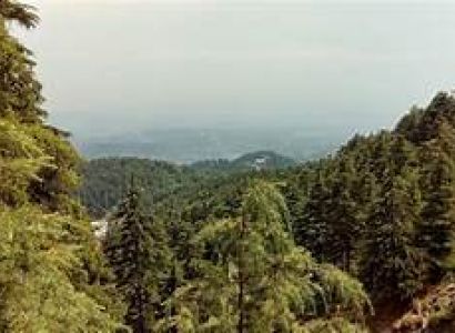 Himachal New Year Family Package Tour