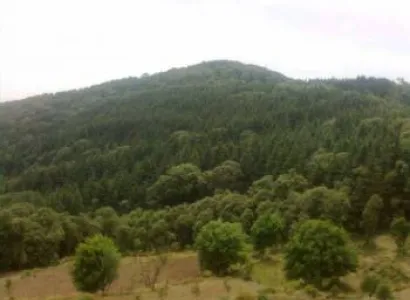 Datti Village Kufri Trek Package