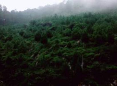 Datti Village Kufri Trek Package