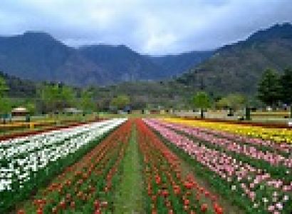 Srinagar ,Pahalgam , Gulmarg, Sonamarg, Srinagar Tour