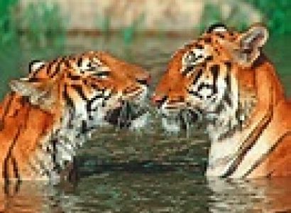 Heaven Utrakhand Package