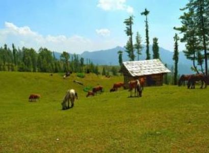 5nights - 6days Dharamshala Group Yoga Package