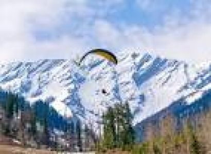 Himachal New Year Family Package Tour