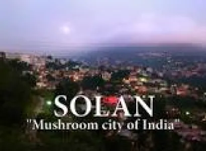 Kausauli-Solan Romantic Package