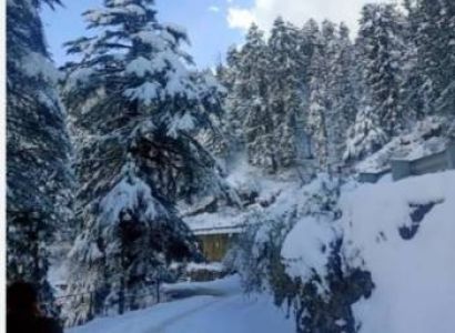 Himachal Family Tour