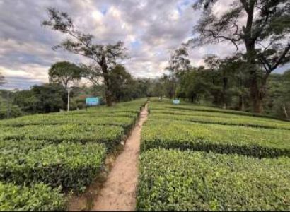 5nights/6days Himachal Package Tour