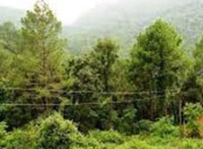 7 Nights / 8 Days Honeymoon Tour