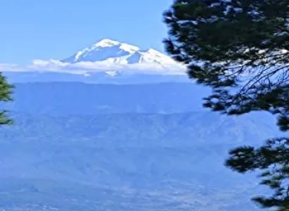 Munsyari Lohaghat Trip