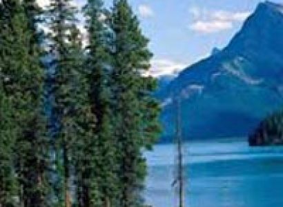 Packages in Chaukori