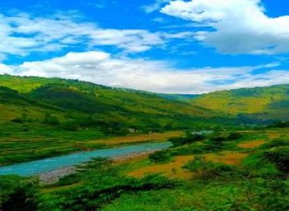 Packages in Ranikhet