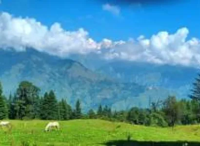Munsyari Lohaghat Trip
