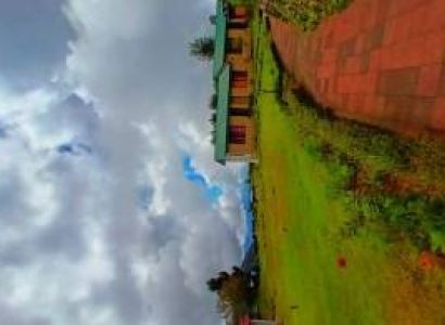 Munsyari Lohaghat Trip