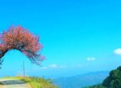 3 Days Nainital Kainchi Dham Mukteshwar Tour