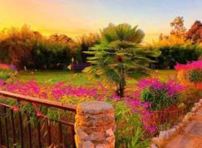 Packages in Ranikhet