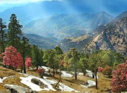 11 Nights / 12 Days Kumaon Tour