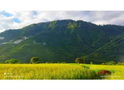 11 Nights / 12 Days Kumaon Tour