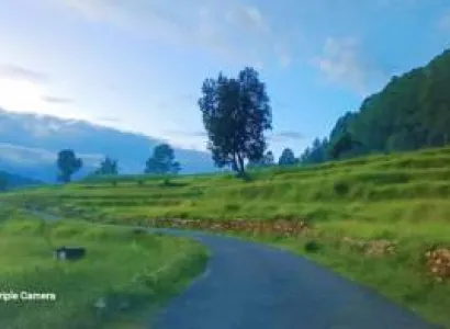 Packages in Munsyari