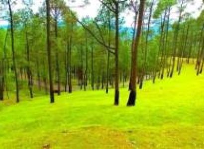 Packages in Ranikhet