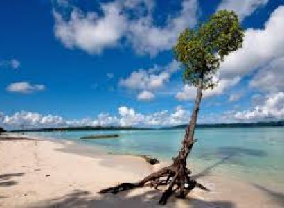 Andaman Waves Tour