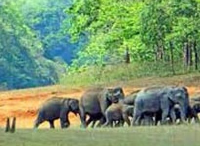 3 Days Periyar Tour with Treehouse