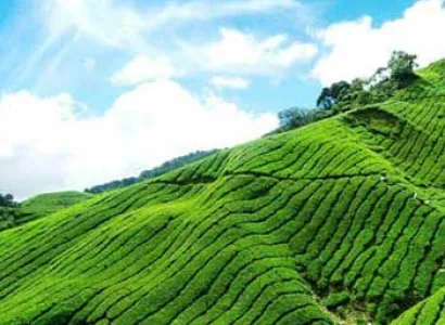Exotic Kerala 7 Night 8 Day With Flight Ex Mumbai Tour