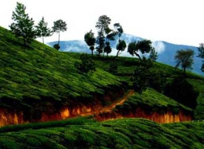 Exotic Kerala 7 Night 8 Day With Flight Ex Mumbai Tour
