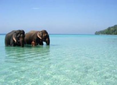 Andaman and Nicobar 4 Night 5 Day Package