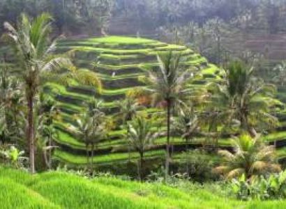 Bali Corporate Special