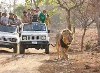 5 Night 6 Days Gujrat