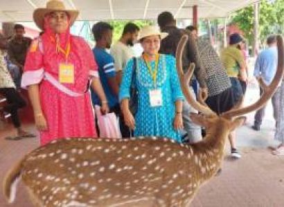 Packages in Havelock