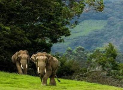 Diwali vacation in Kerala