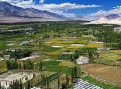 Ladakh Honeymoon Tour