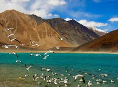 Ladakh Wonder Package