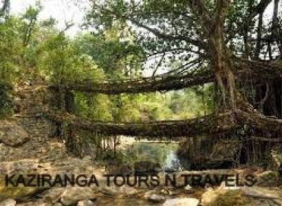 4 Days 3 Nights  Guwahati -meghalaya Trip