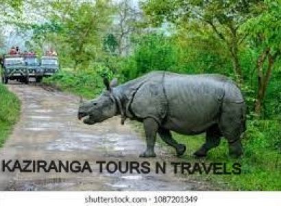 3 Night 4 Days Guwahati Kaziranga  Trip