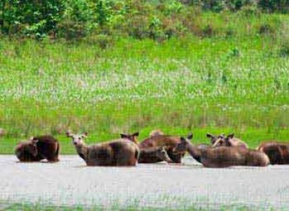 Kolkata Trip Package