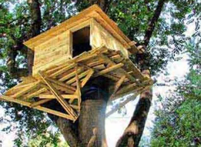 Periyar Tour With Treehouse Package