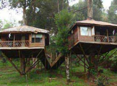 Wayanad Tour with Vythiri Treehouse Package