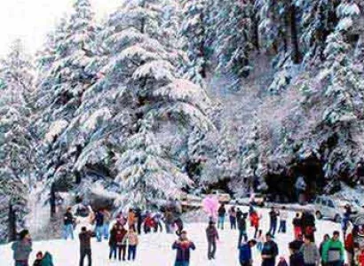 Adventure Retreat in Shimla