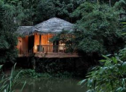 3 Days Wayanad Vythri Treehouse Tour Package