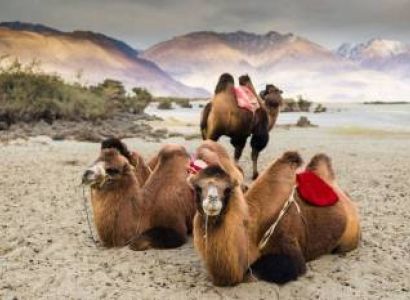 6 Night 7days Leh Program With Nubra Turtuk Pangong