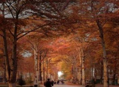 Kashmir Package 4 Nights - 5 Days