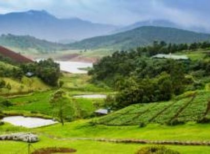 Ooty 1 Night 2 Days Tour Package