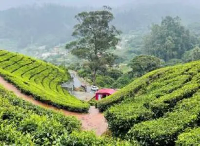 Ooty 2 Nights 3 Days Tour Package