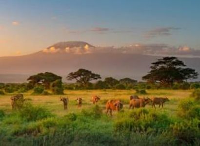 3 Days Amboseli Nation Park Tour